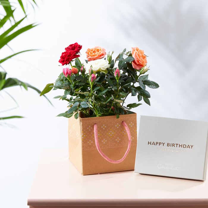 The Birthday Magic Rose with Hotel Chocolat Happy Birthday Chocolate